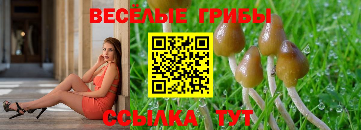 Галлюциногенные грибы Magic Shrooms Кисловодск
