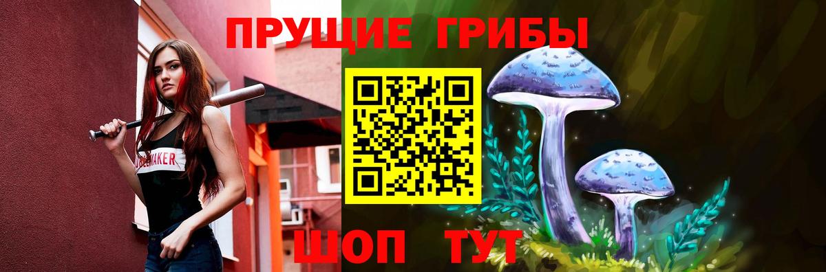 Кисловодск  Псилоцибиновые грибы мицелий  Галлюциногенные грибы GOLDEN TEACHER  Вход с VPN 
